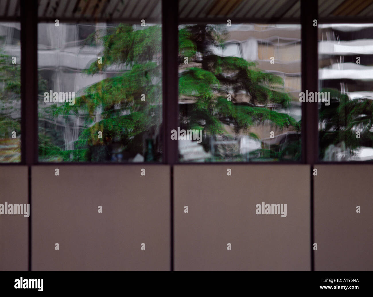 La giustapposizione di facciata per ufficio e abete, Parigi, Francia. Foto Stock