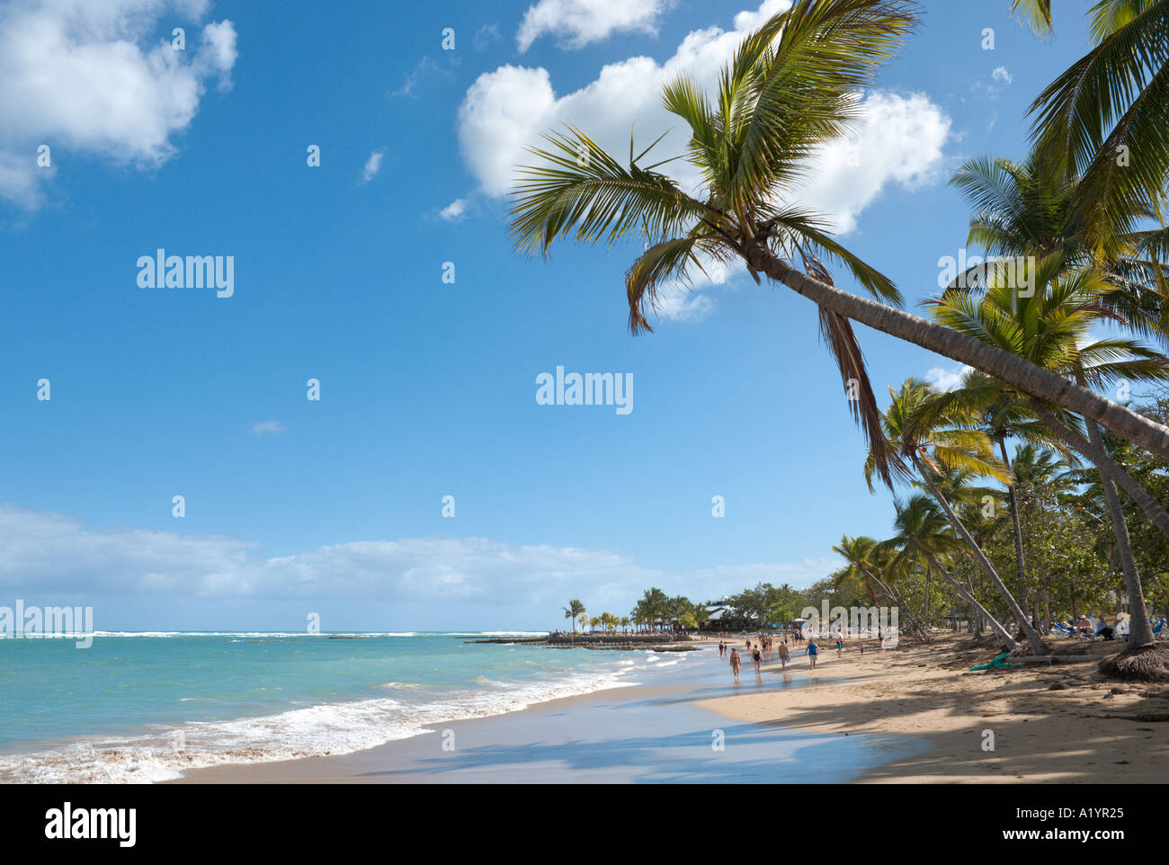Spiaggia di Playa Dorada, San Felipe de Puerto Plata, costa Nord, Repubblica Dominicana, dei Caraibi Foto Stock