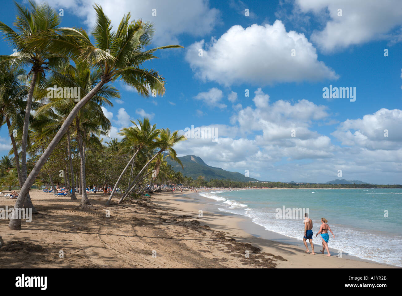 Spiaggia di Playa Dorada, San Felipe de Puerto Plata, costa Nord, Repubblica Dominicana, dei Caraibi Foto Stock