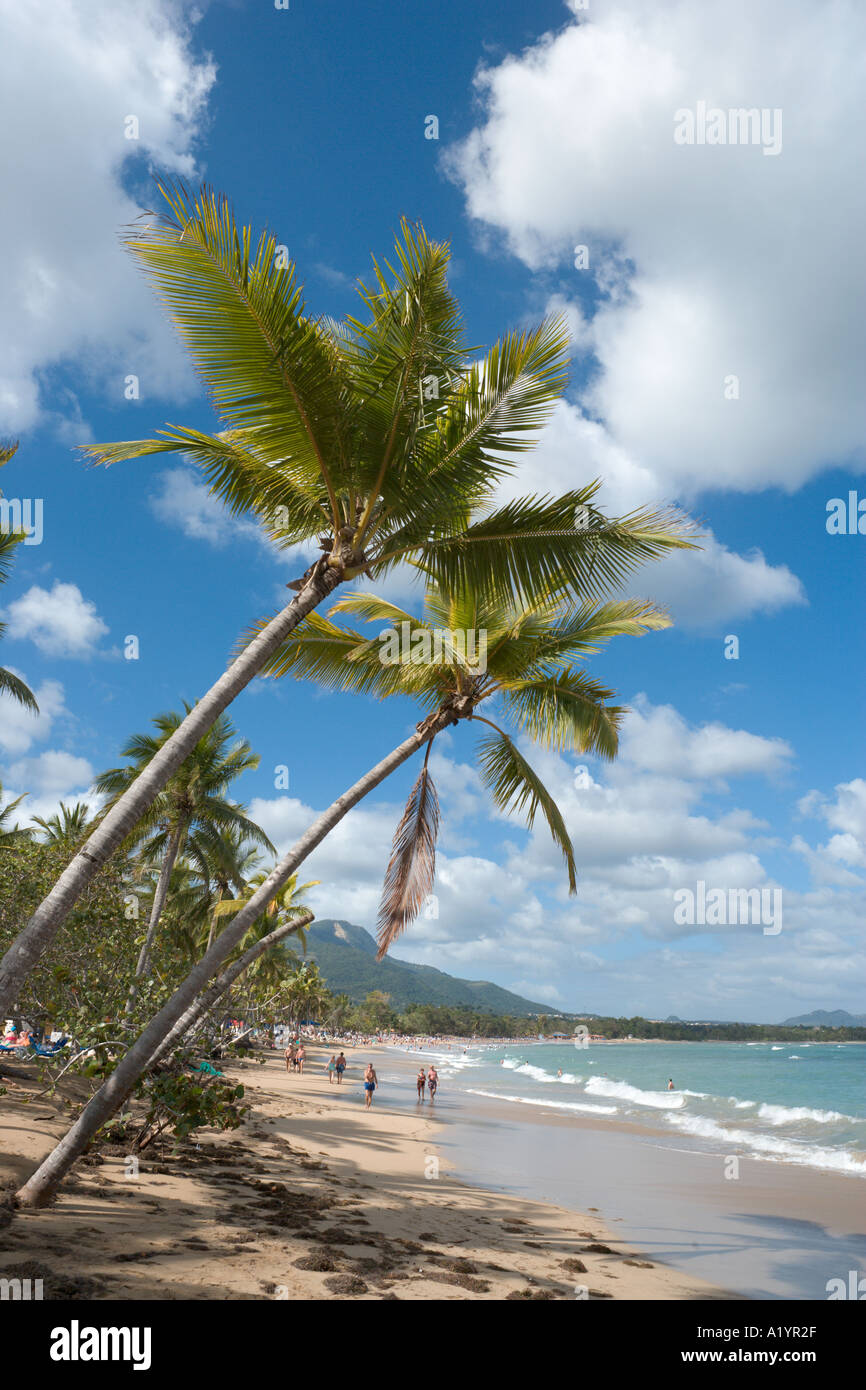 Spiaggia di Playa Dorada, San Felipe de Puerto Plata, costa Nord, Repubblica Dominicana, dei Caraibi Foto Stock