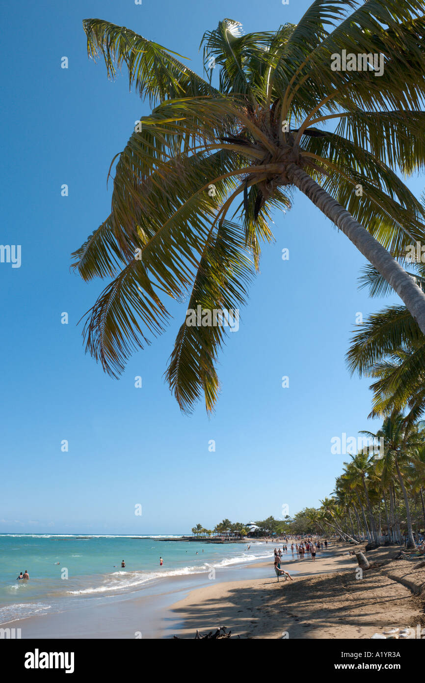 Spiaggia di Playa Dorada, San Felipe de Puerto Plata, costa Nord, Repubblica Dominicana, dei Caraibi Foto Stock