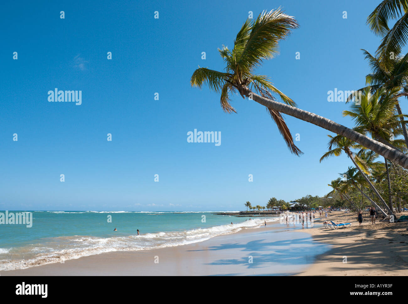 Spiaggia di Playa Dorada, San Felipe de Puerto Plata, costa Nord, Repubblica Dominicana, dei Caraibi Foto Stock