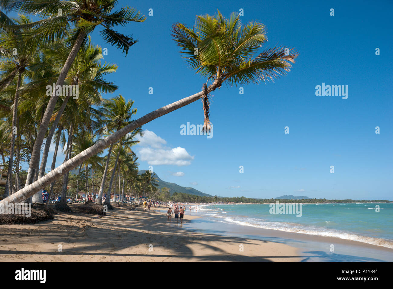 Spiaggia di Playa Dorada, San Felipe de Puerto Plata, costa Nord, Repubblica Dominicana, dei Caraibi Foto Stock