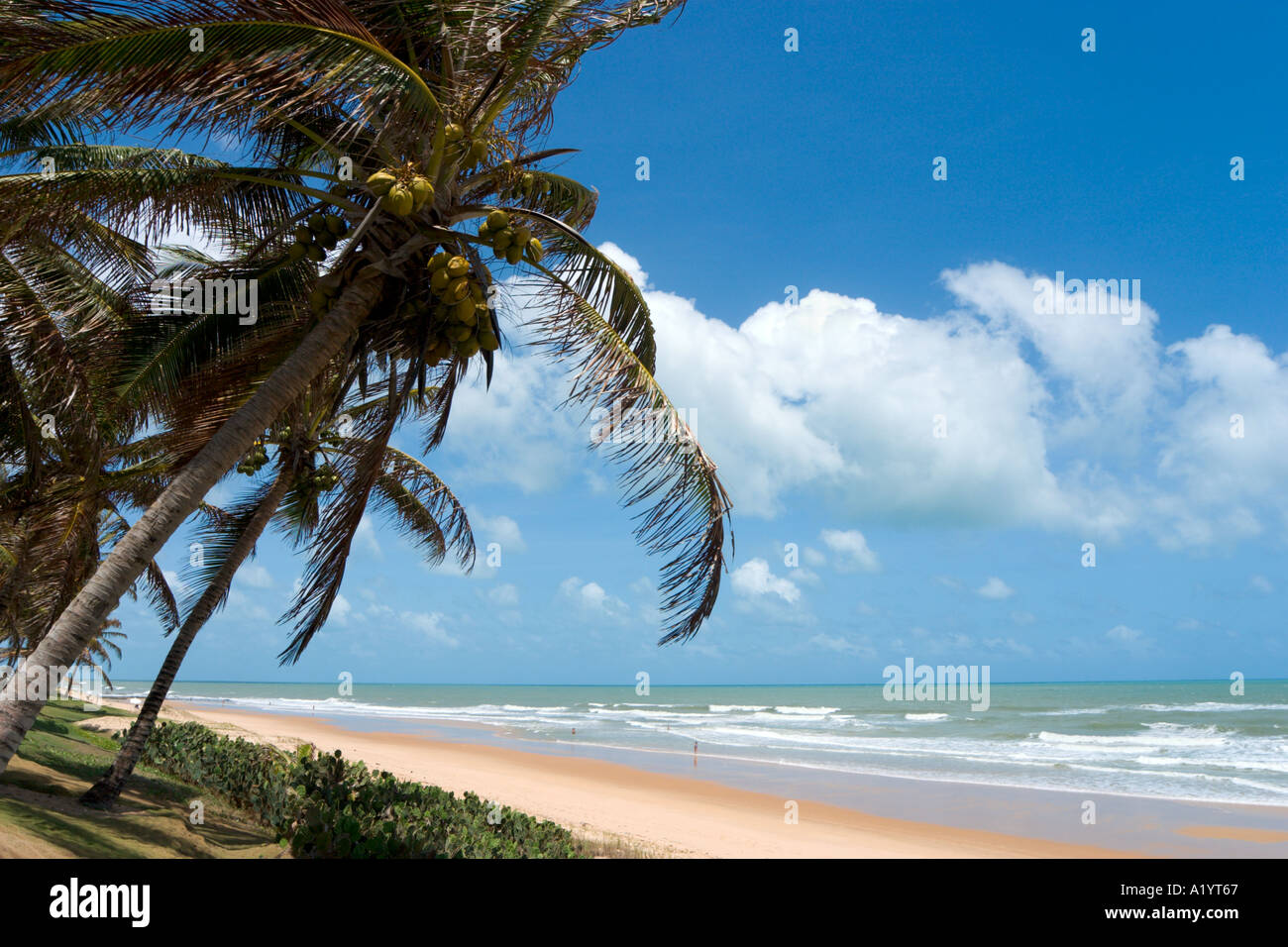 Spiaggia Vicino Hotel Vila do Mar, Via Costeira, Natal, Rio Grande do Norte, Brasile Foto Stock