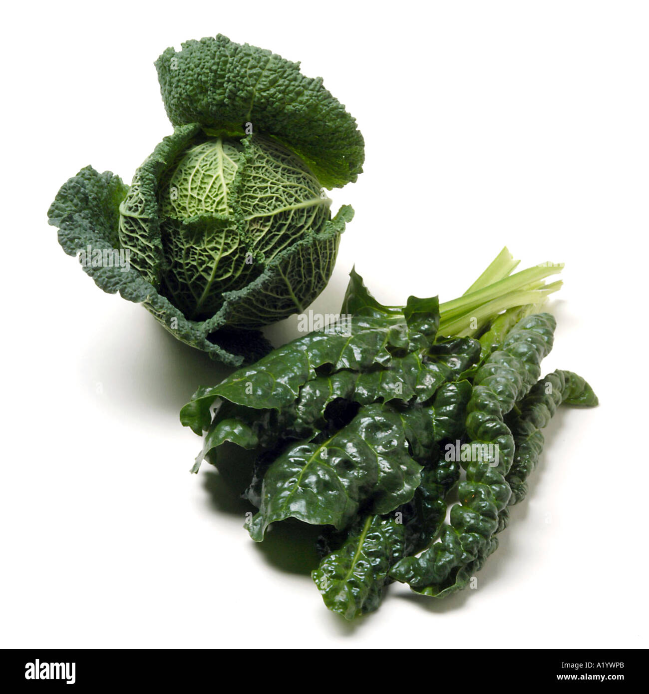 Fresco verde cavolo verza e spinaci Foto Stock