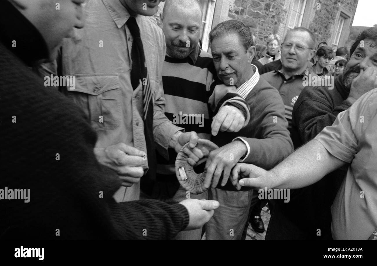 Gli uomini del campione del tabacco da fiuto dalla vecchia tromba, una delle molte tradizioni durante Hawick comune settimana di equitazione, Scozia Foto Stock