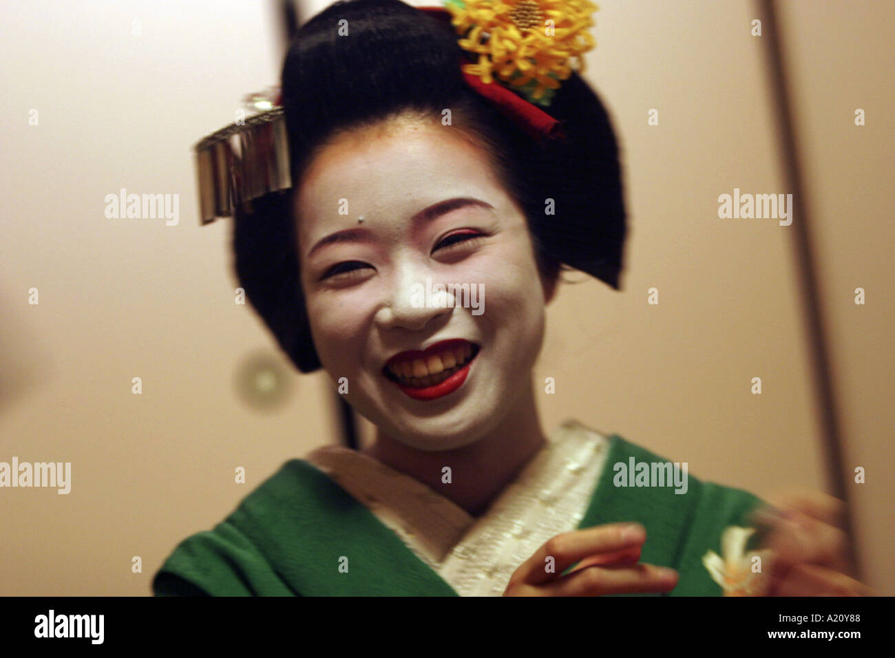 Un Kosen 20 enne apprendista Maiko Geisha ridere con i clienti in una casa da tè nel distretto Geisha di Miyagawacho, Kyoto. Foto Stock