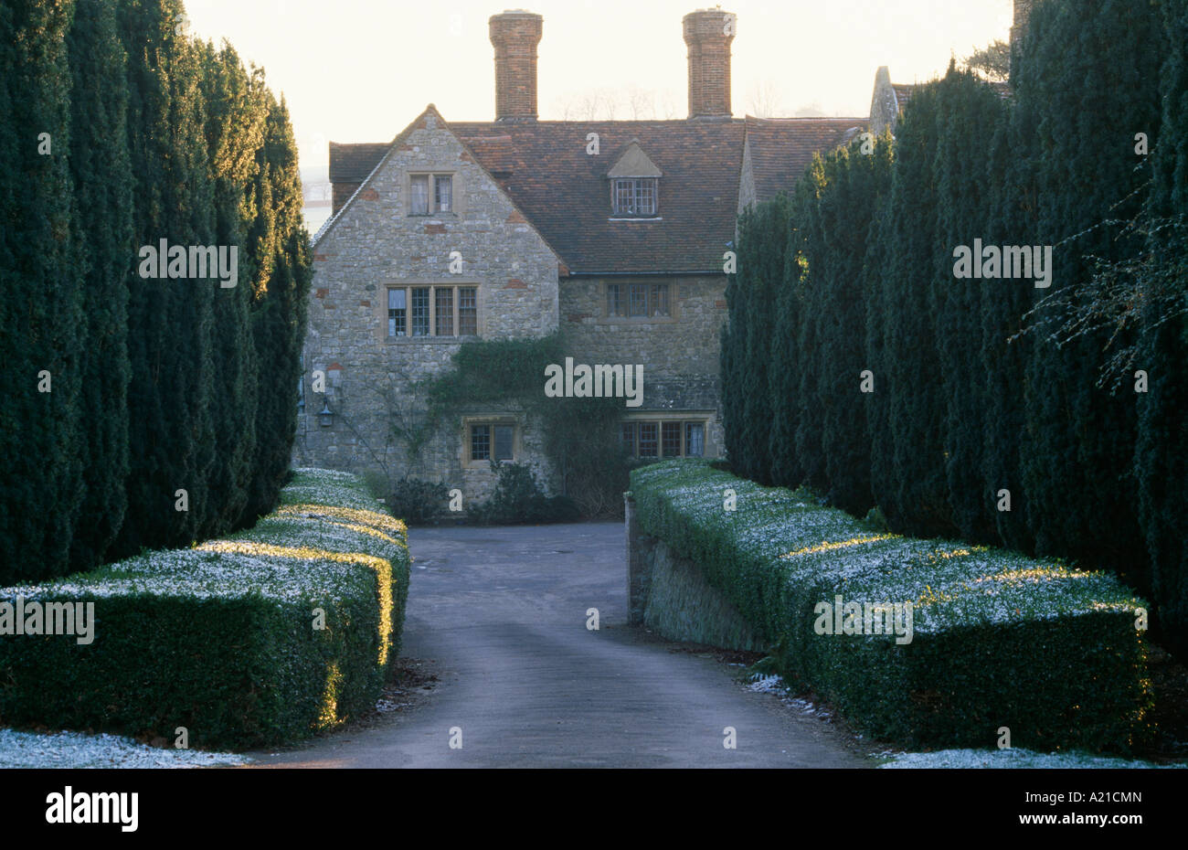 Tagliata di hedge e yew alti alberi su entrambi i lati dell'unità tradizionale casa di campagna in inverno Foto Stock