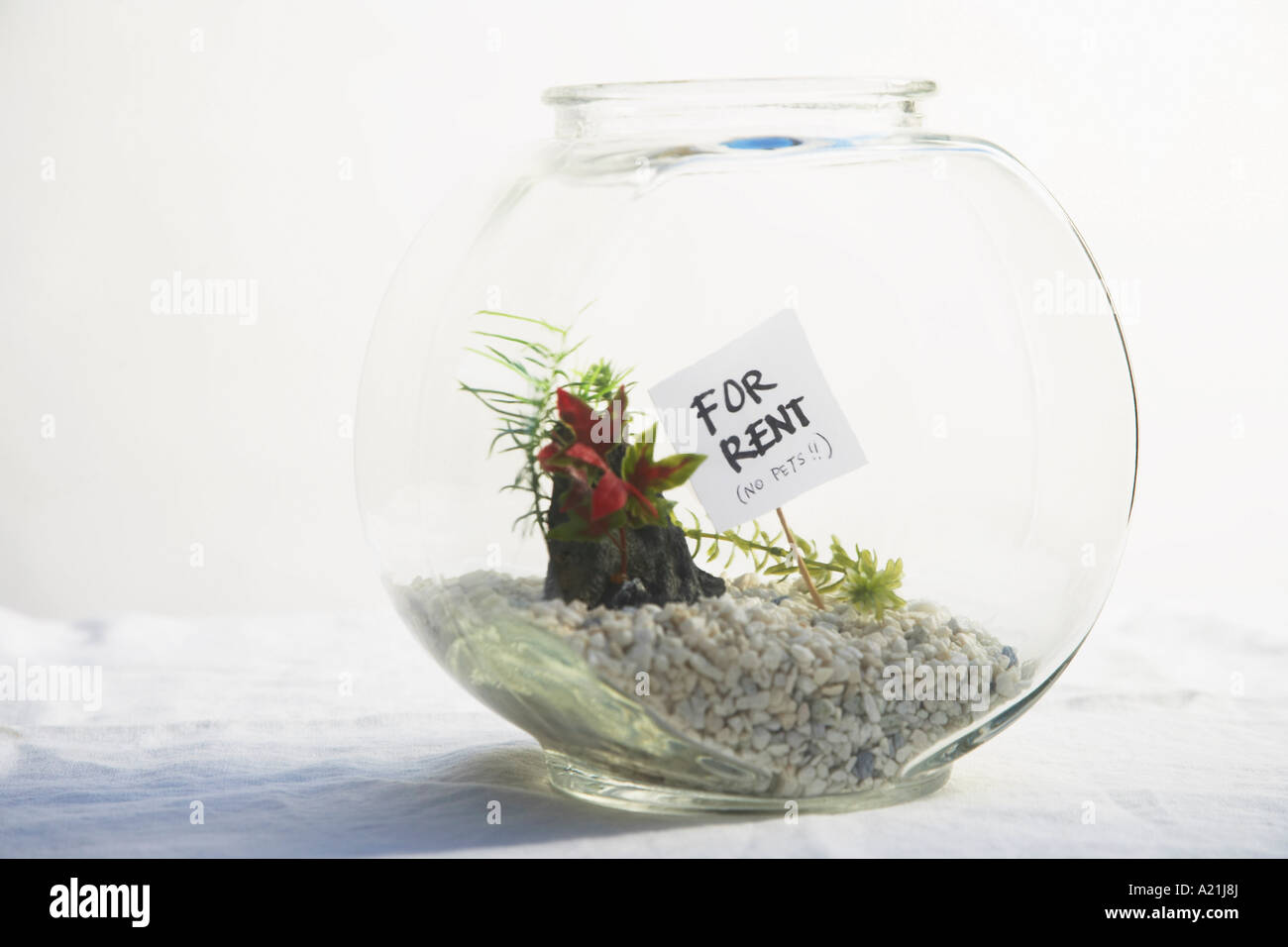 Fishbowl vuoto con segno di noleggio Foto Stock