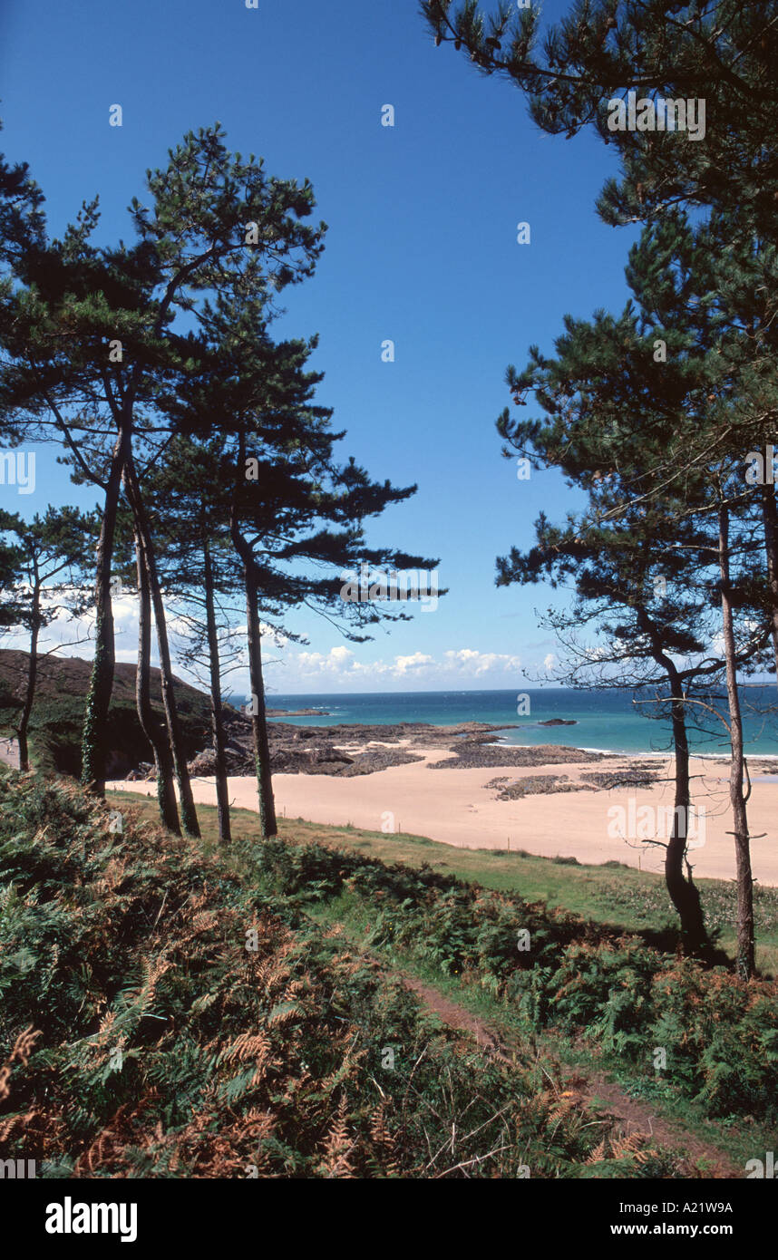 La spiaggia di Plage de Guen su Cap d'Erquy del nord della Bretagna, Francia Foto Stock