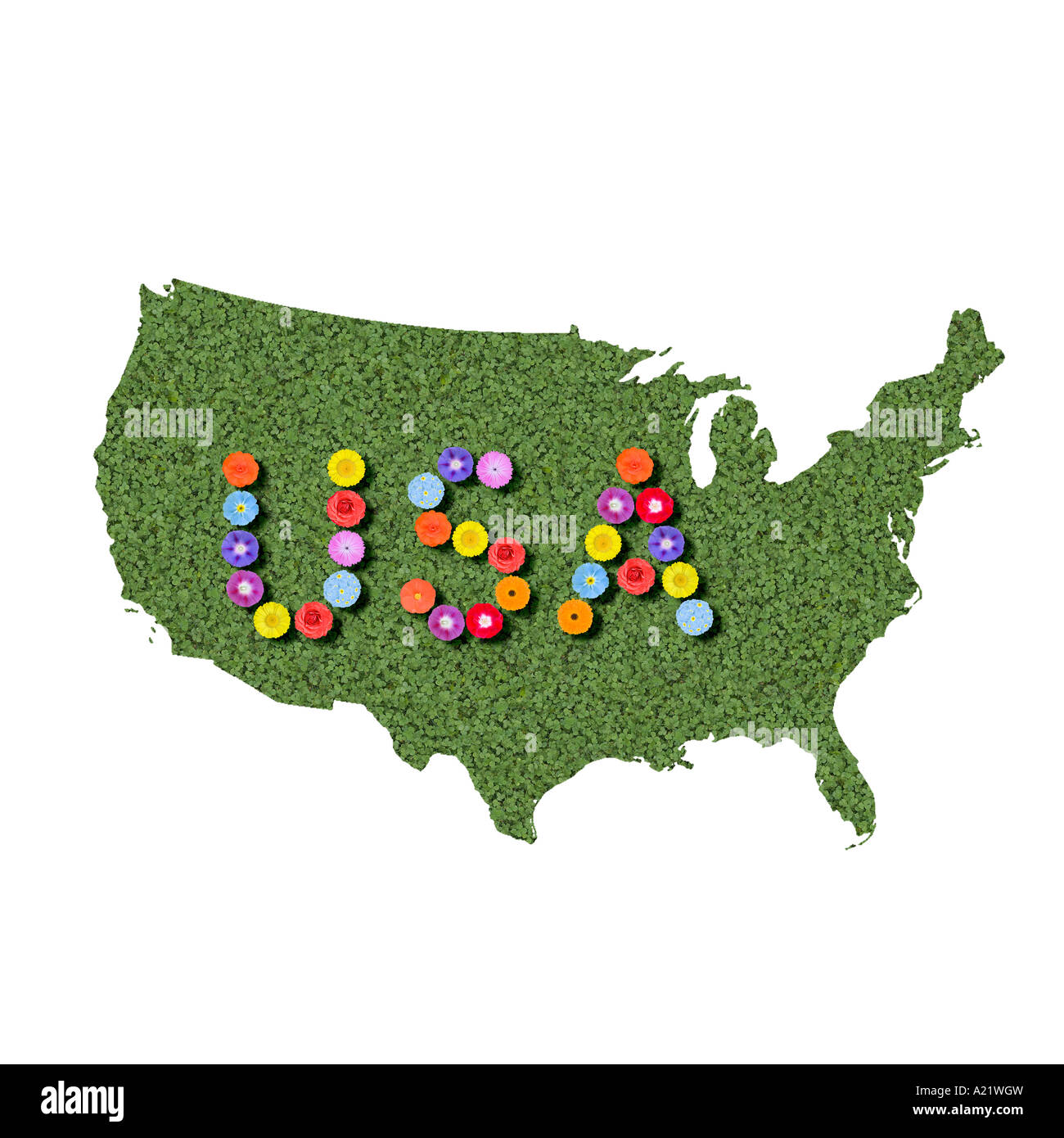 Profilo di gli Stati Uniti di America come una mappa sillabato modificati preconfigurate Foto Stock