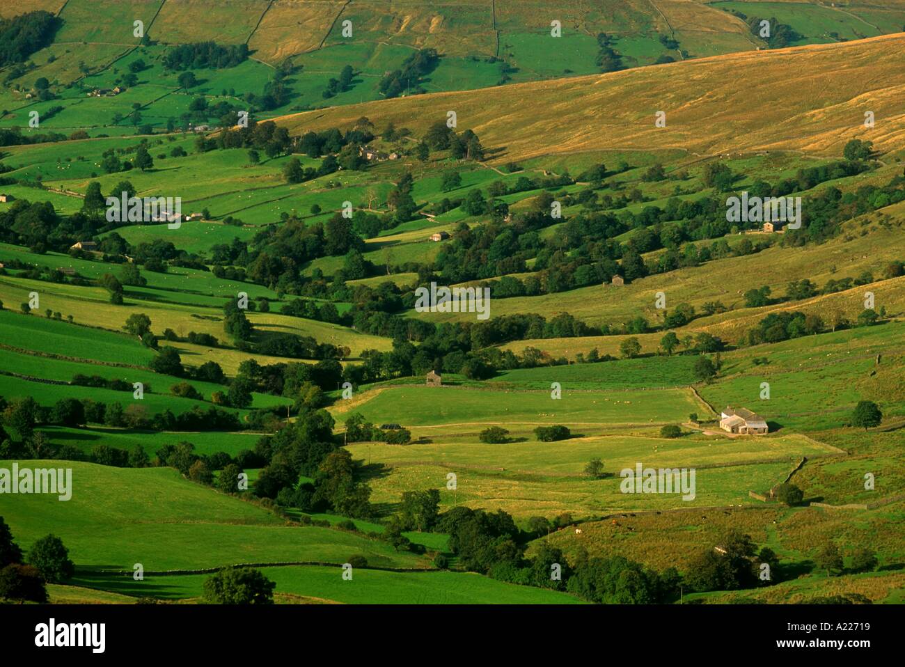 Deepdale vicino Dent Yorkshire England Regno Unito J Strachan Foto Stock