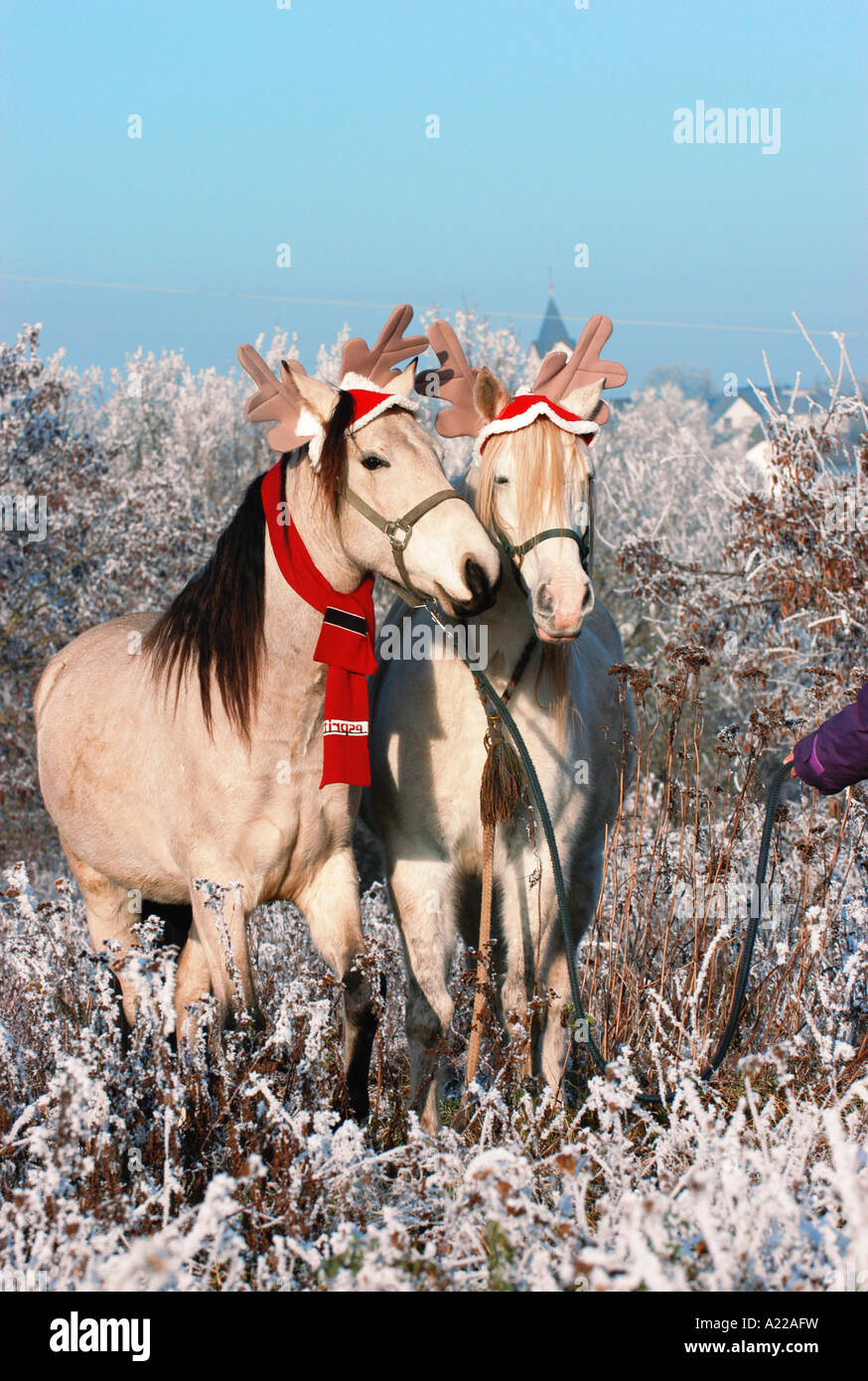 Weihnachten Foto Stock