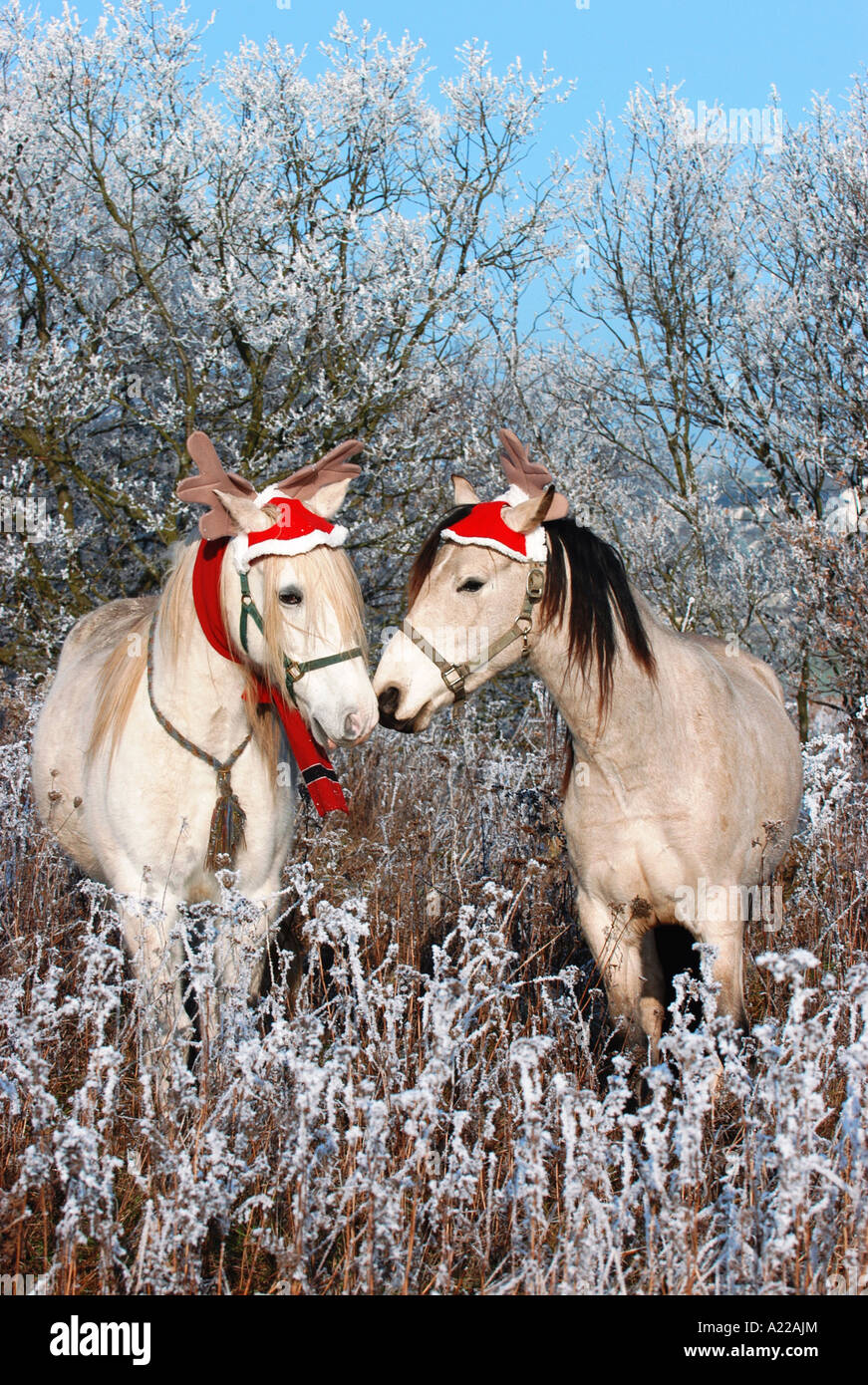 Weihnachten Foto Stock