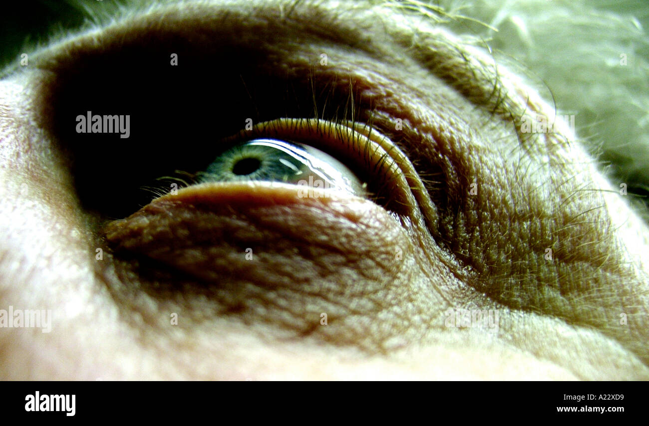 Espressioni del viso Foto Stock