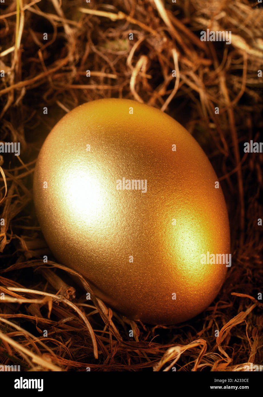 uovo di nido dorato Foto Stock