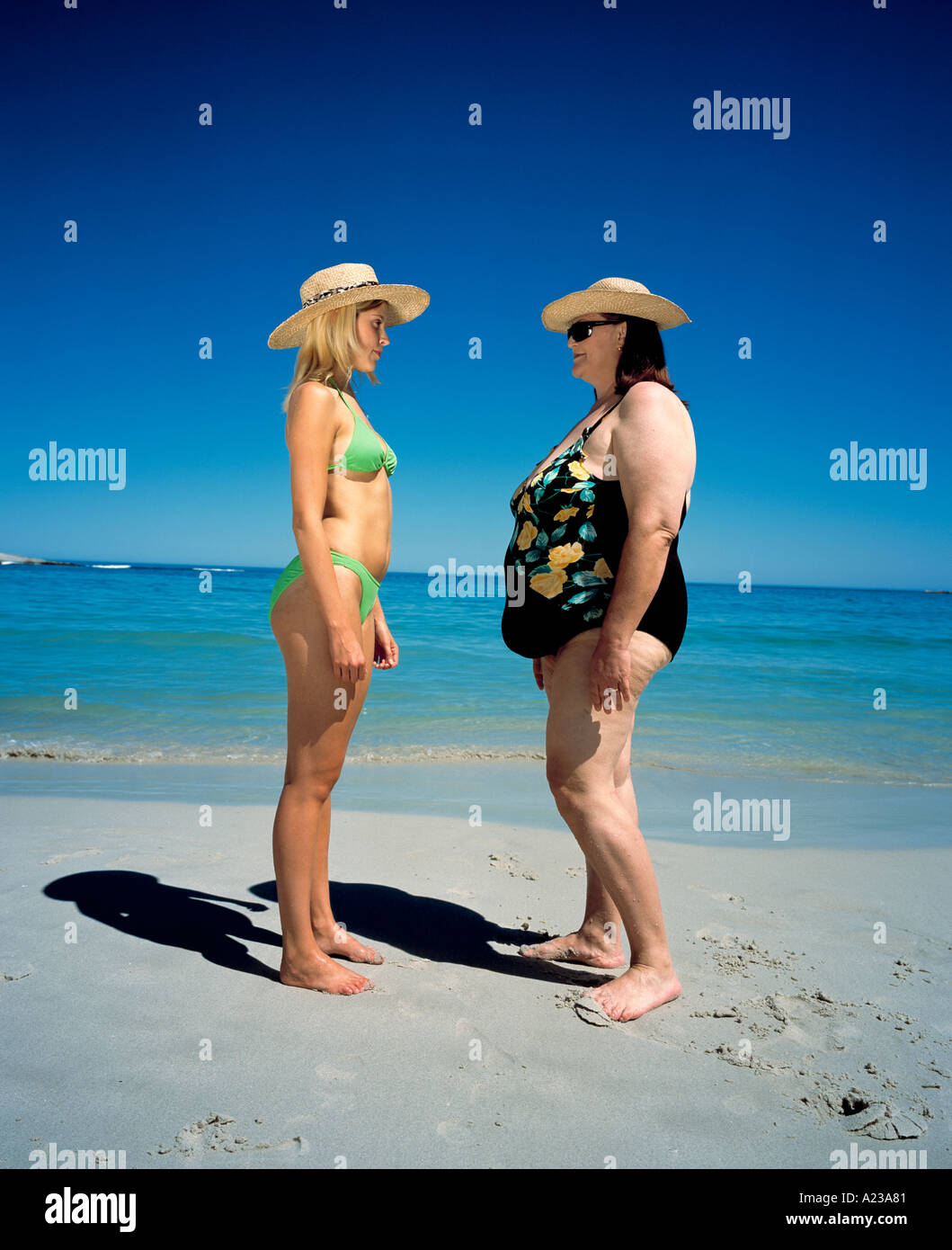 Grasso magro Foto Stock Grasso magro Foto Stock