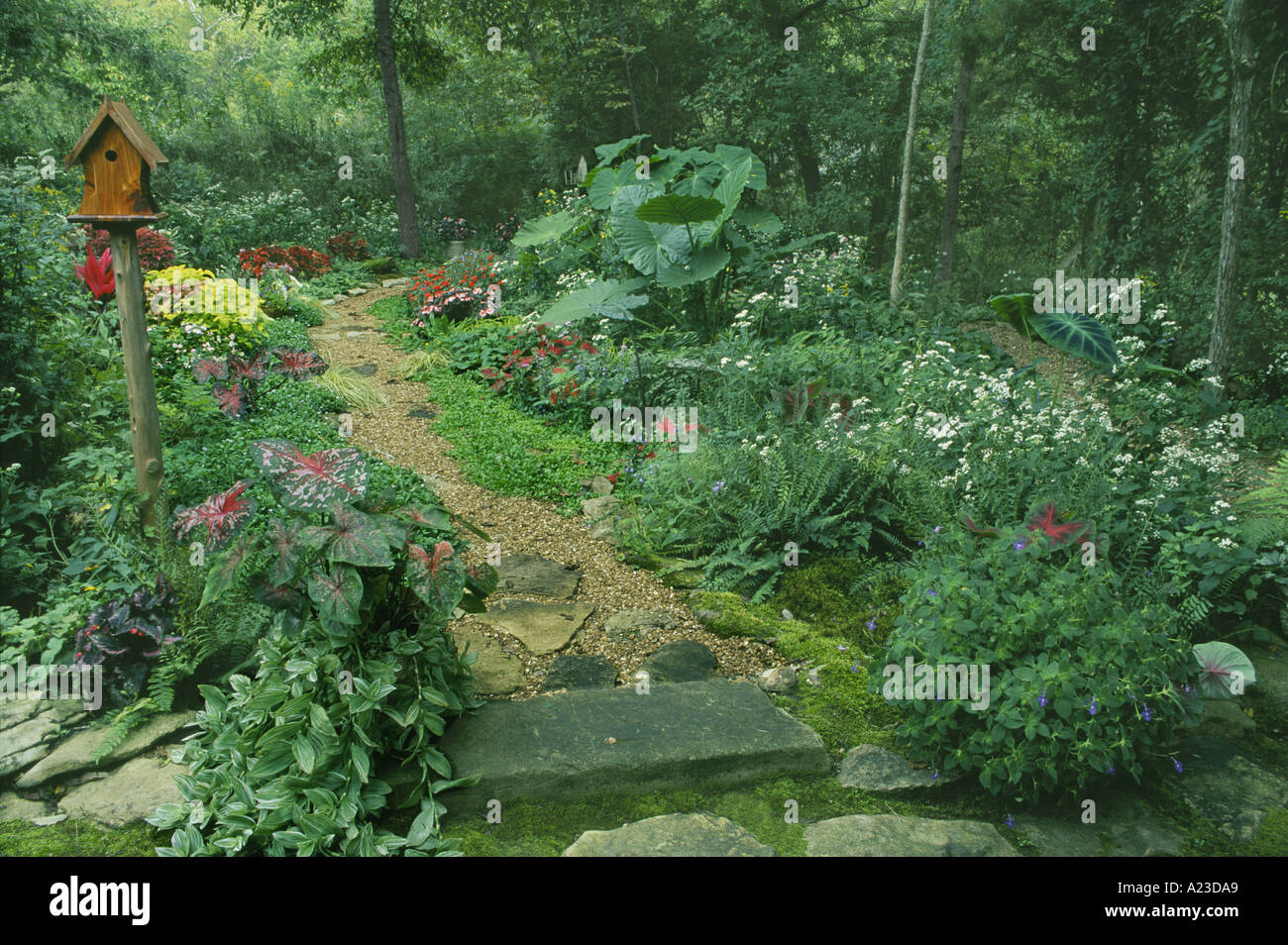 Whimsical ombreggiato giardino estivo con un percorso tortuoso e fatti a mano birdhouse rustico, Missouri negli Stati Uniti d'America Foto Stock