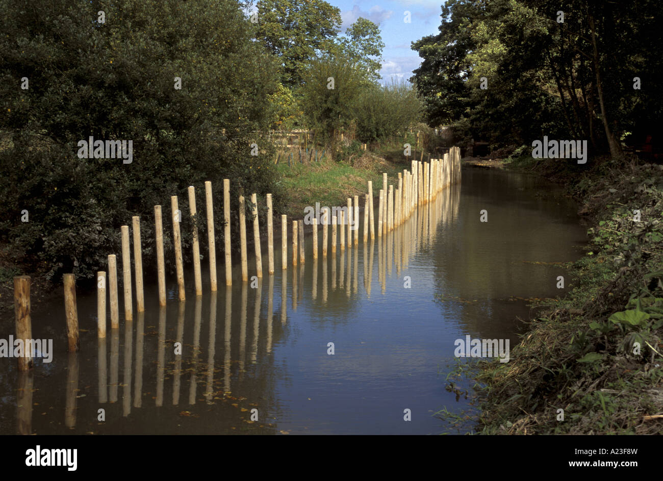 Management sul fiume Kennet per aumentare il flusso del fiume vicino a Kintbury Berkshire, Inghilterra Foto Stock