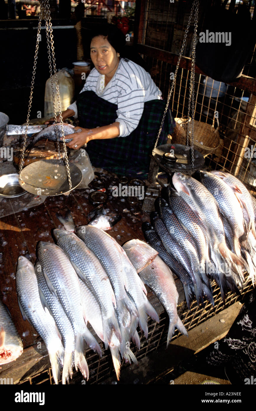 Le donne del mercato a Myitkyina nella Birmania settentrionale offre pesce pescato nel fiume Irrawaddy Foto Stock