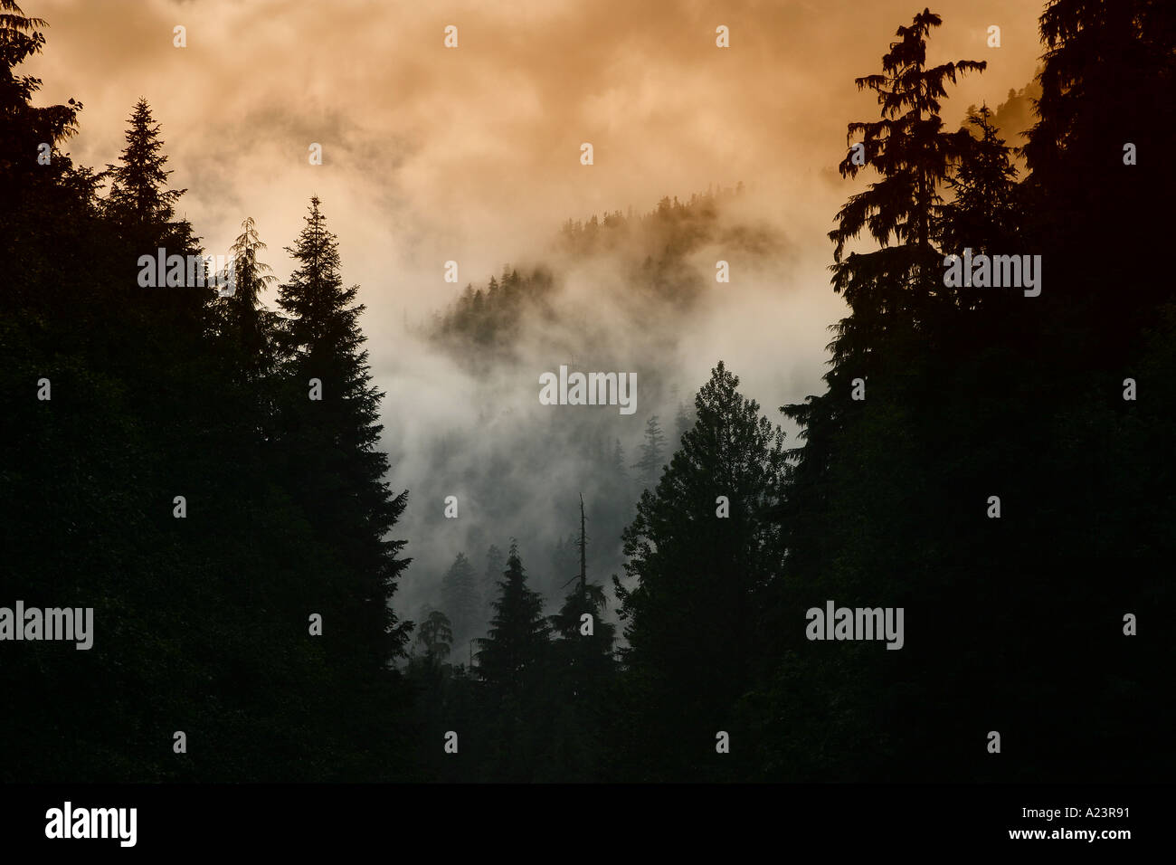 Mt Baker Washington Foto Stock
