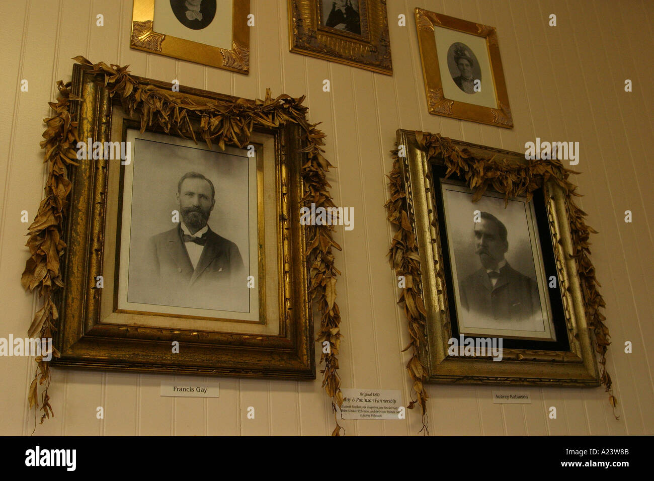 Signor Gay e Piantagione Robinson Kauai Hawaii Foto Stock