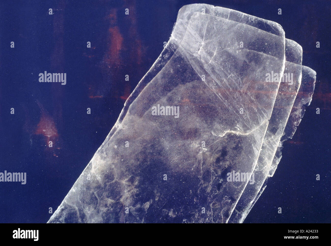 Biotite, una comune formazione di roccia minerale. Foto Stock