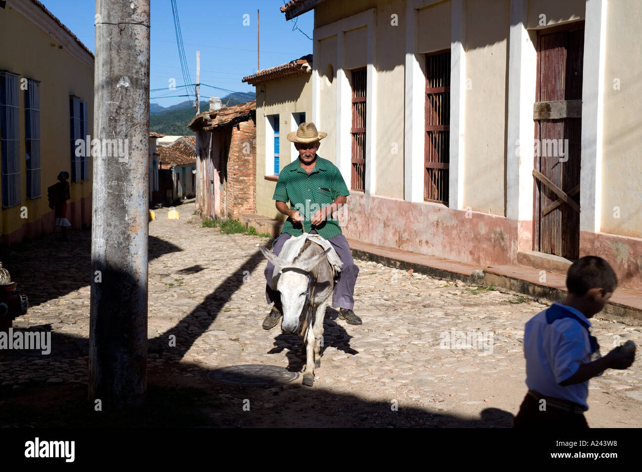 Uomo a cavallo di un asino in una strada in Trinidad, Cuba Foto Stock