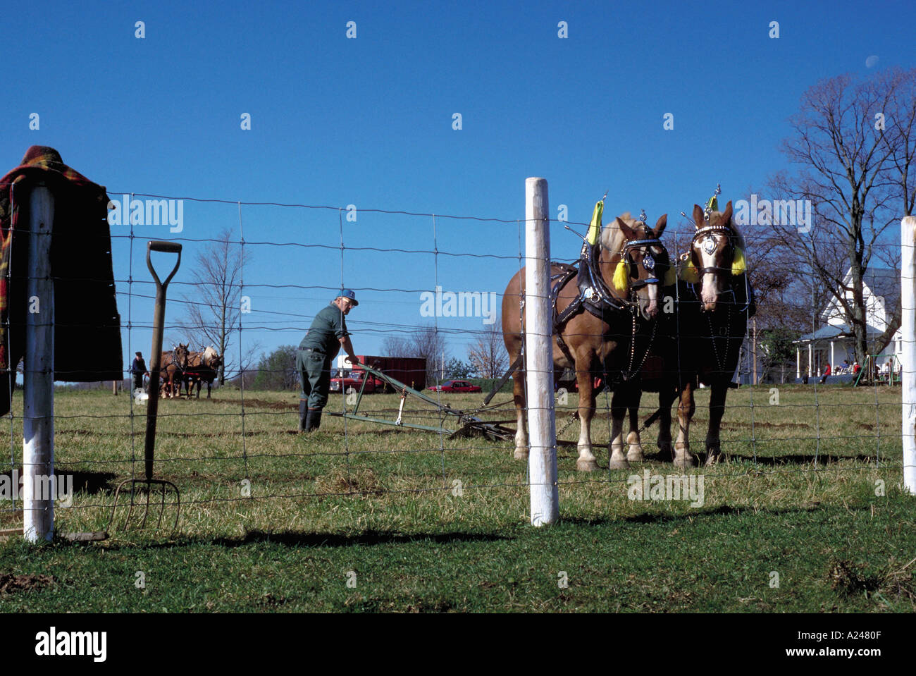 Progetto di cavalli a confronto di aratura molte più immagini agricole disponibili Foto Stock