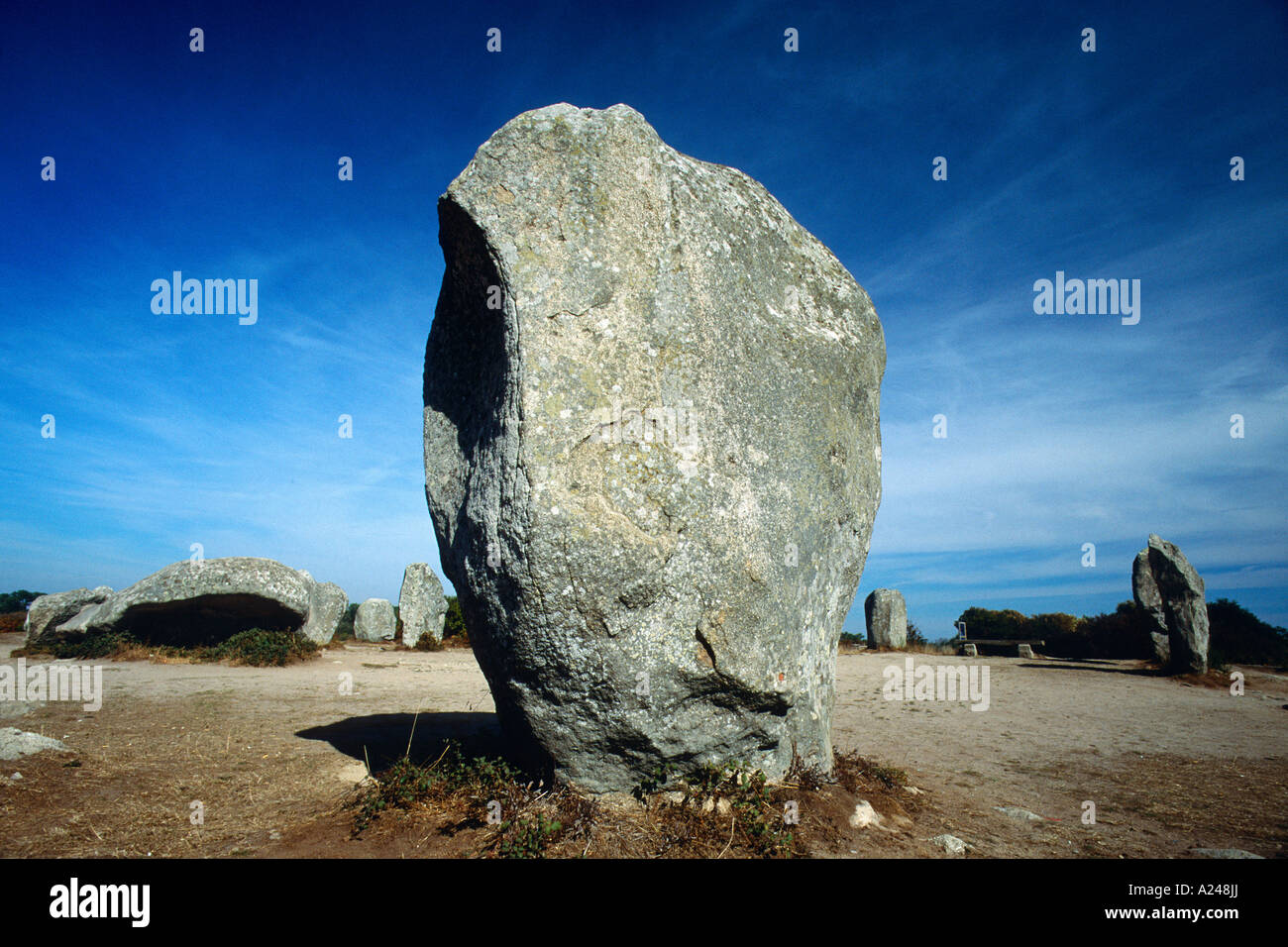 Menhire von Carnac Bretagne Frankreich Francia Foto Stock