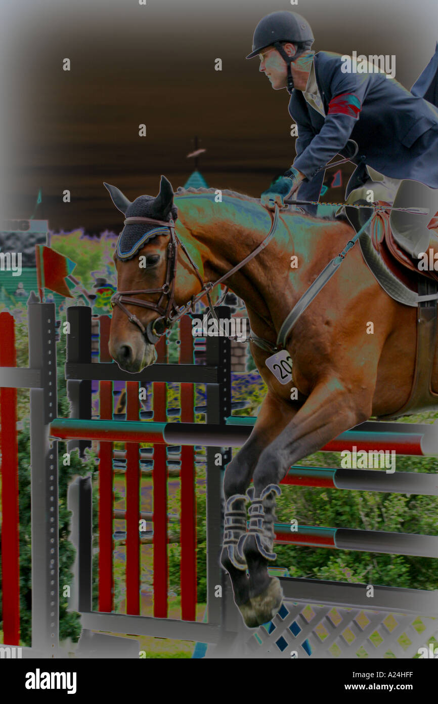 International Show Jumping a Prati di abete Calgary Alberta Canada Foto Stock