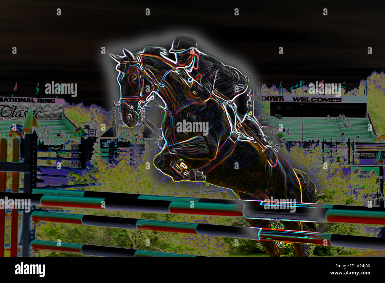 International Show Jumping a Prati di abete Calgary Alberta Canada Foto Stock