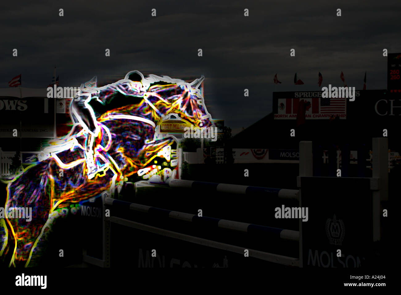 International Show Jumping a Prati di abete Calgary Alberta Canada Foto Stock