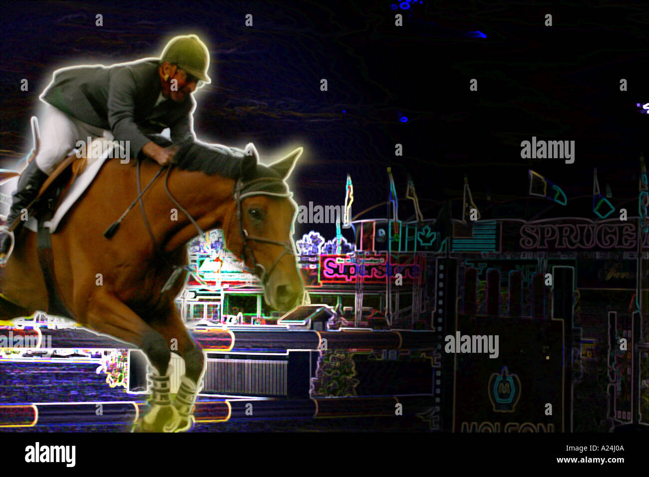 International Show Jumping a Prati di abete Calgary Alberta Canada Foto Stock