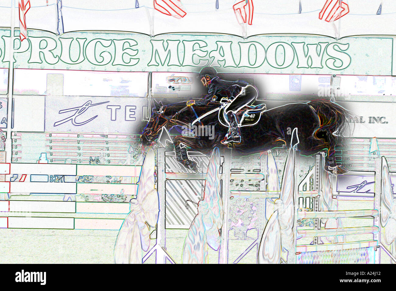 International Show Jumping a Prati di abete Calgary Alberta Canada Foto Stock