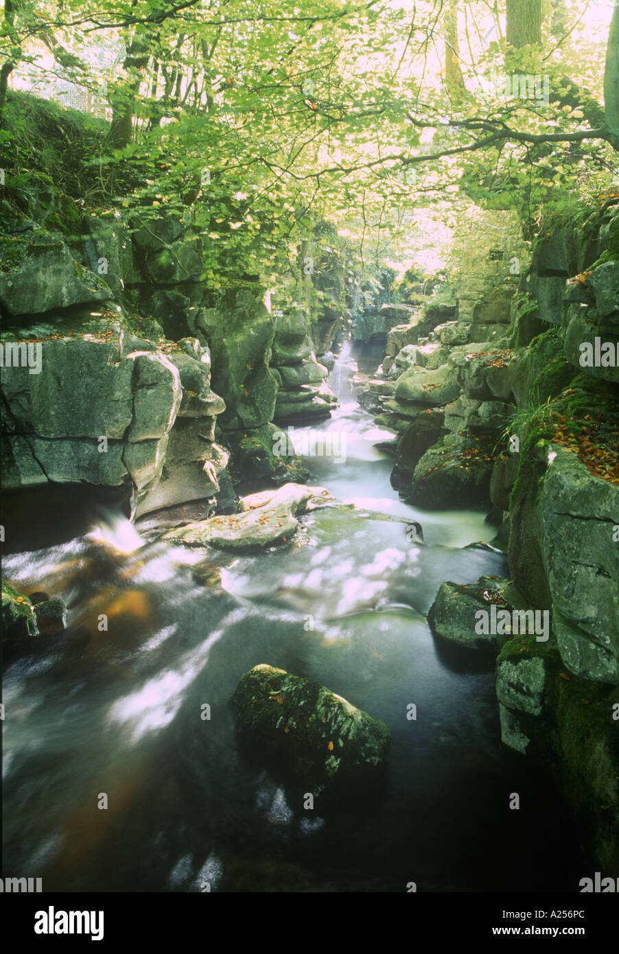 La piscina blu Vaynor Pontsarn Brecon Beacons il Galles Centrale Foto Stock