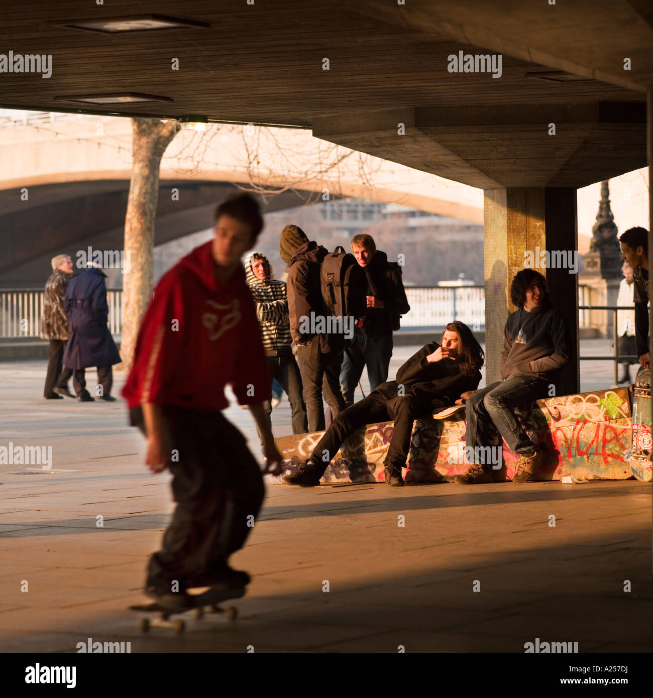 Skateboarders appendere fuori a Londra il South Bank di sera sun Foto Stock