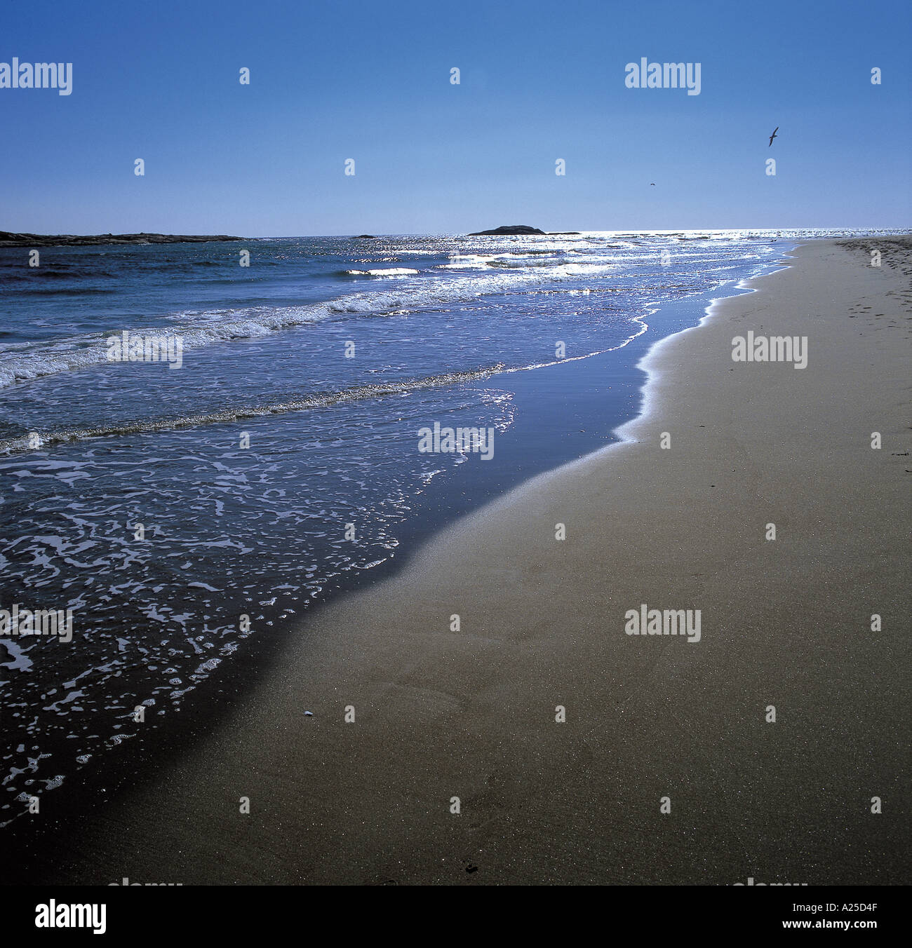 Litorale di spiaggia vuota Foto Stock