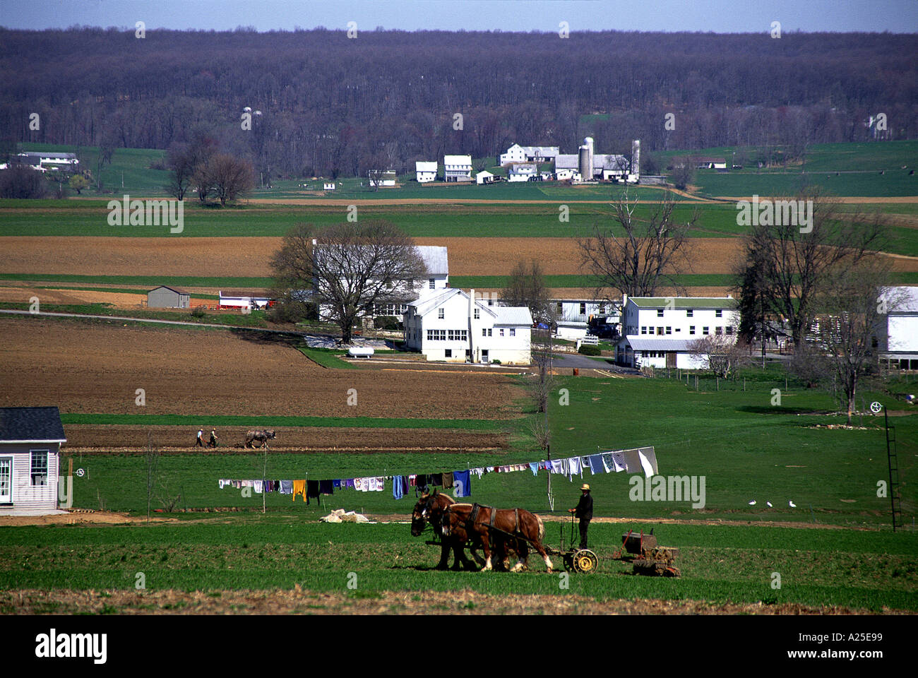 L'AGRICOLTORE AMISH campo di aratura Foto Stock