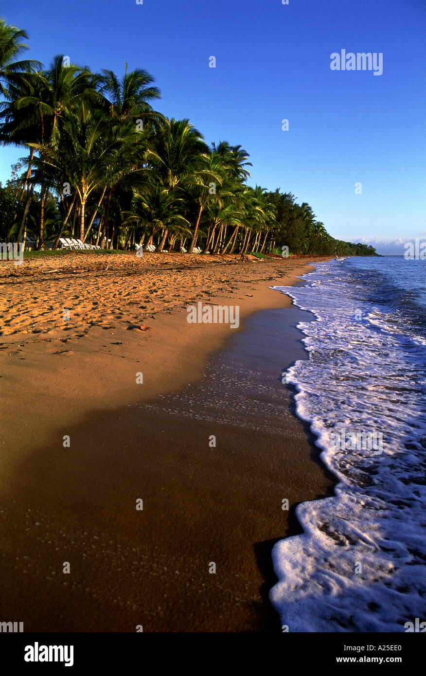 PALM COVE QUEENSLAND AUSTRALIA Foto Stock