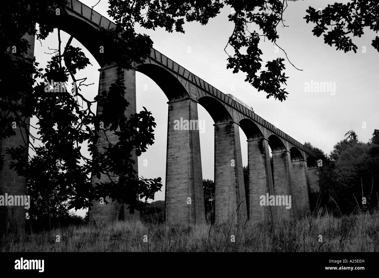 Stretto traversata in battello la Thomas Telford Telford dell Acquedotto Pontcysyllte llangollen GALLES DEL NORD REGNO UNITO Foto Stock