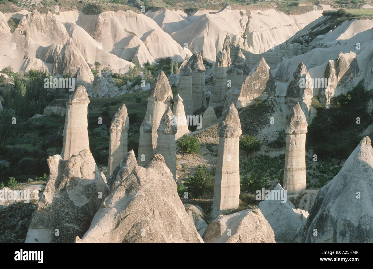 Colonne di pietra bianca e colline di tufo, Turchia, Kappadokien, Elnazar Tal, Goereme Foto Stock
