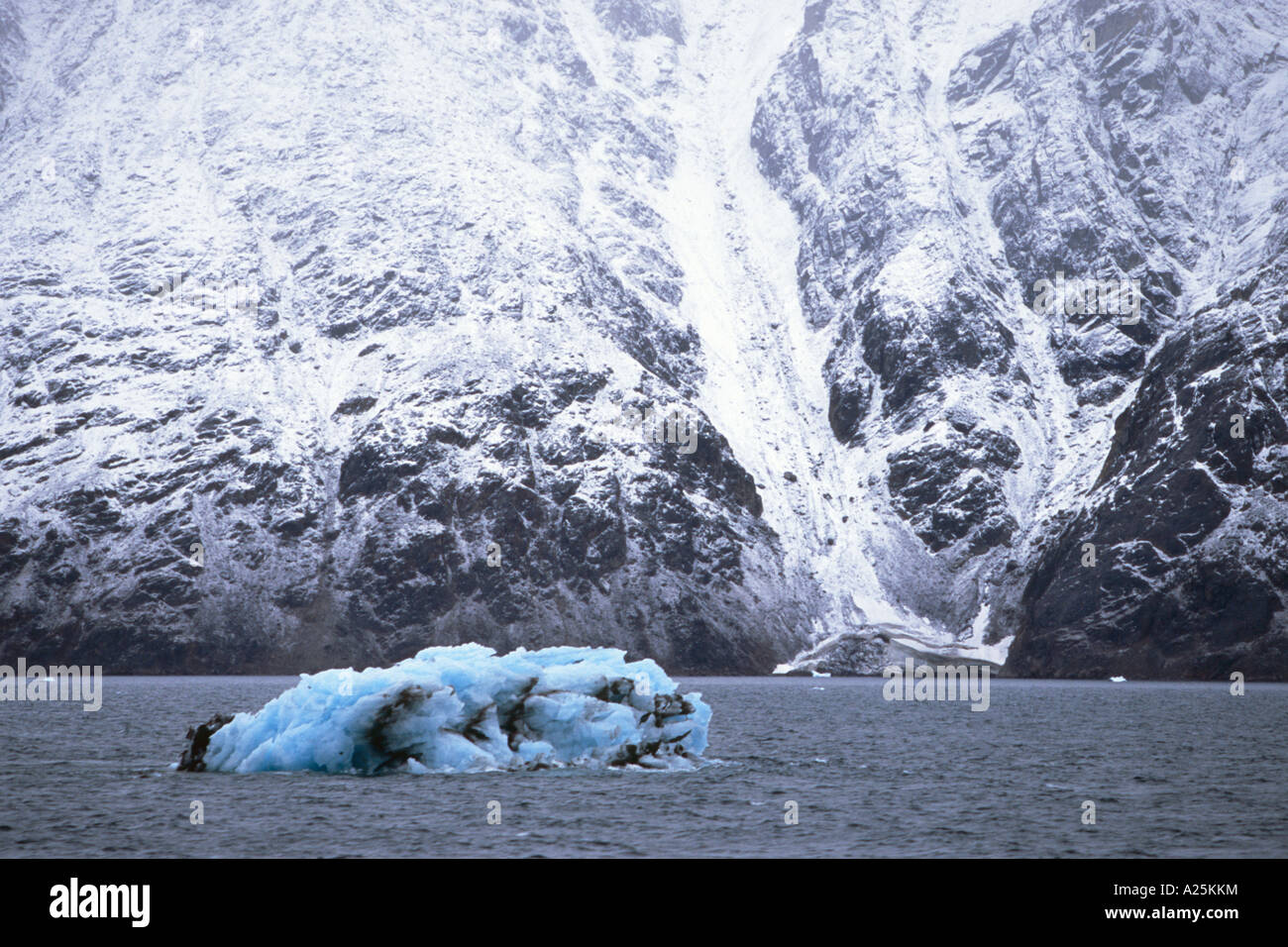 Drifting di ghiaccio in Fonfjord, Groenlandia, est della Groenlandia, Scoresbysund, Tunu Foto Stock