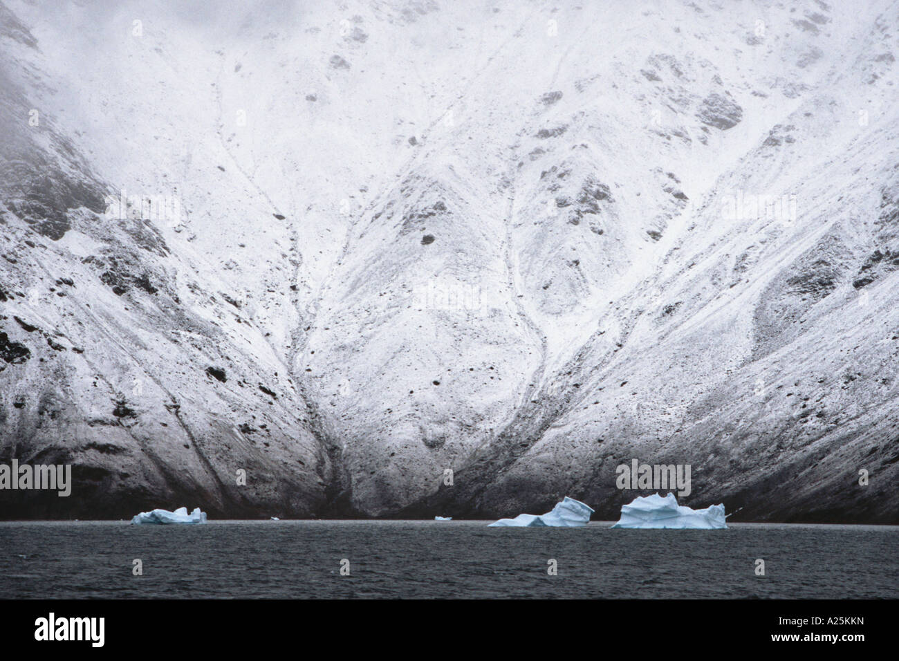 Drifting di ghiaccio in Fonfjord, Groenlandia, est della Groenlandia, Scoresbysund, Tunu Foto Stock