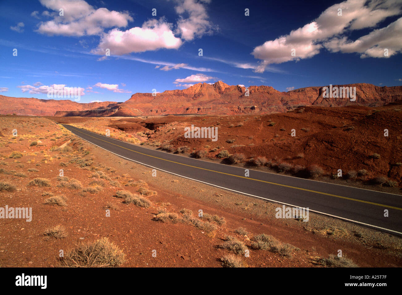 Road thru Marble Canyon Lees Ferry Arizona Foto Stock