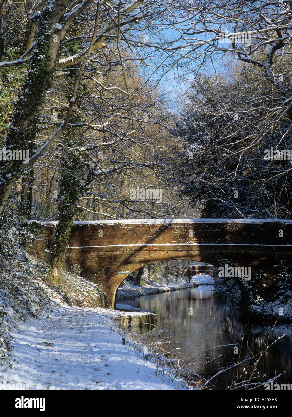 Neve sul BASINGSTOKE CANAL e percorso di traino in inverno con Bareley's bridge attraverso Stacey's Bridge. Winchfield Inghilterra Hampshire REGNO UNITO Foto Stock