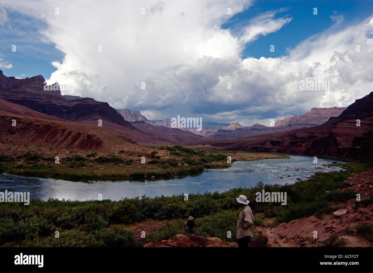 Una vista del fiume Colorado e il monsone estivo di nuvole a IL DELTA UNKAR situata al km 73 GRAND CANYON ARIZONA Foto Stock
