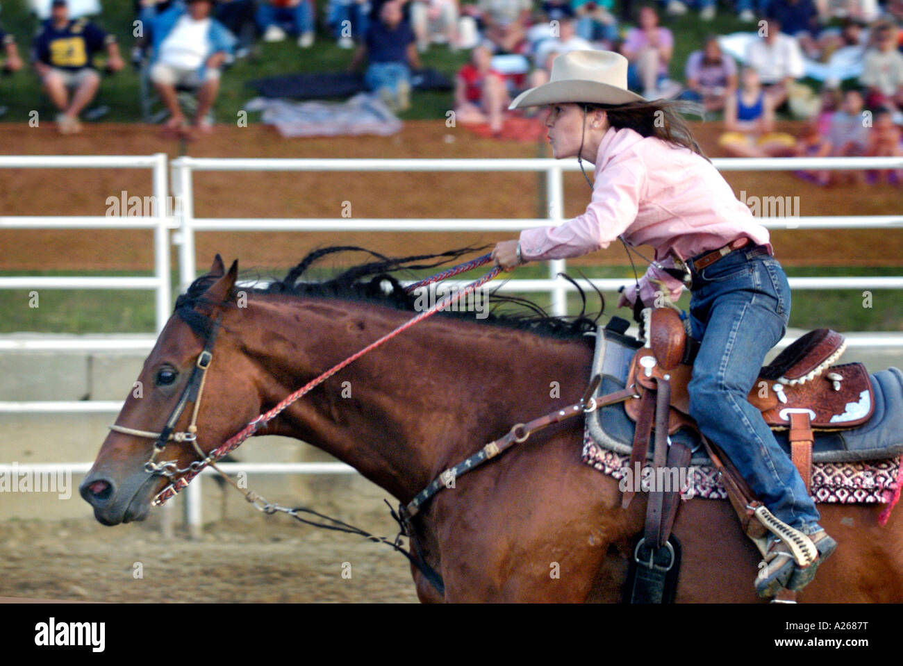 Cowboy femmina competere nel Rodeo canna la concorrenza Foto Stock