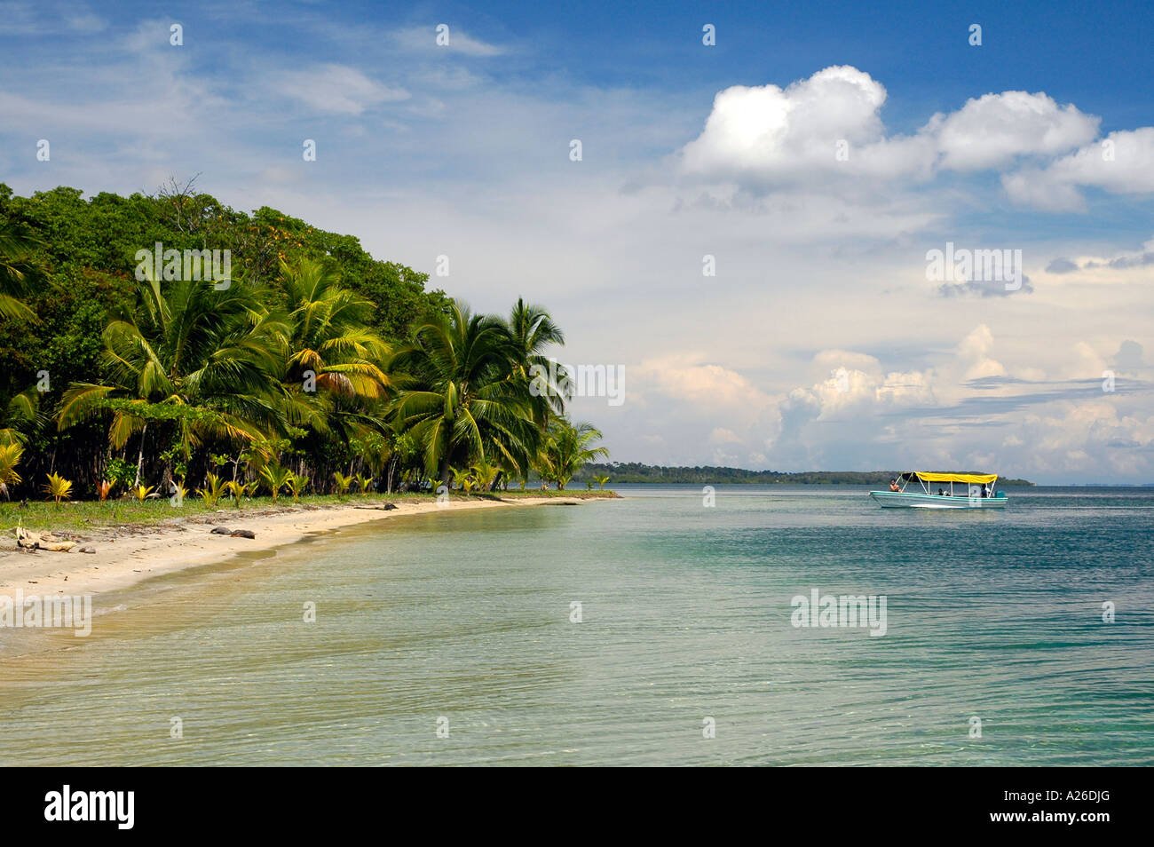 Gita in barca a Boca del Drago spiaggia, Playa de las Estrellas, Isla Colon, Bocas del Toro arcipelago, Panama, America Centrale Foto Stock