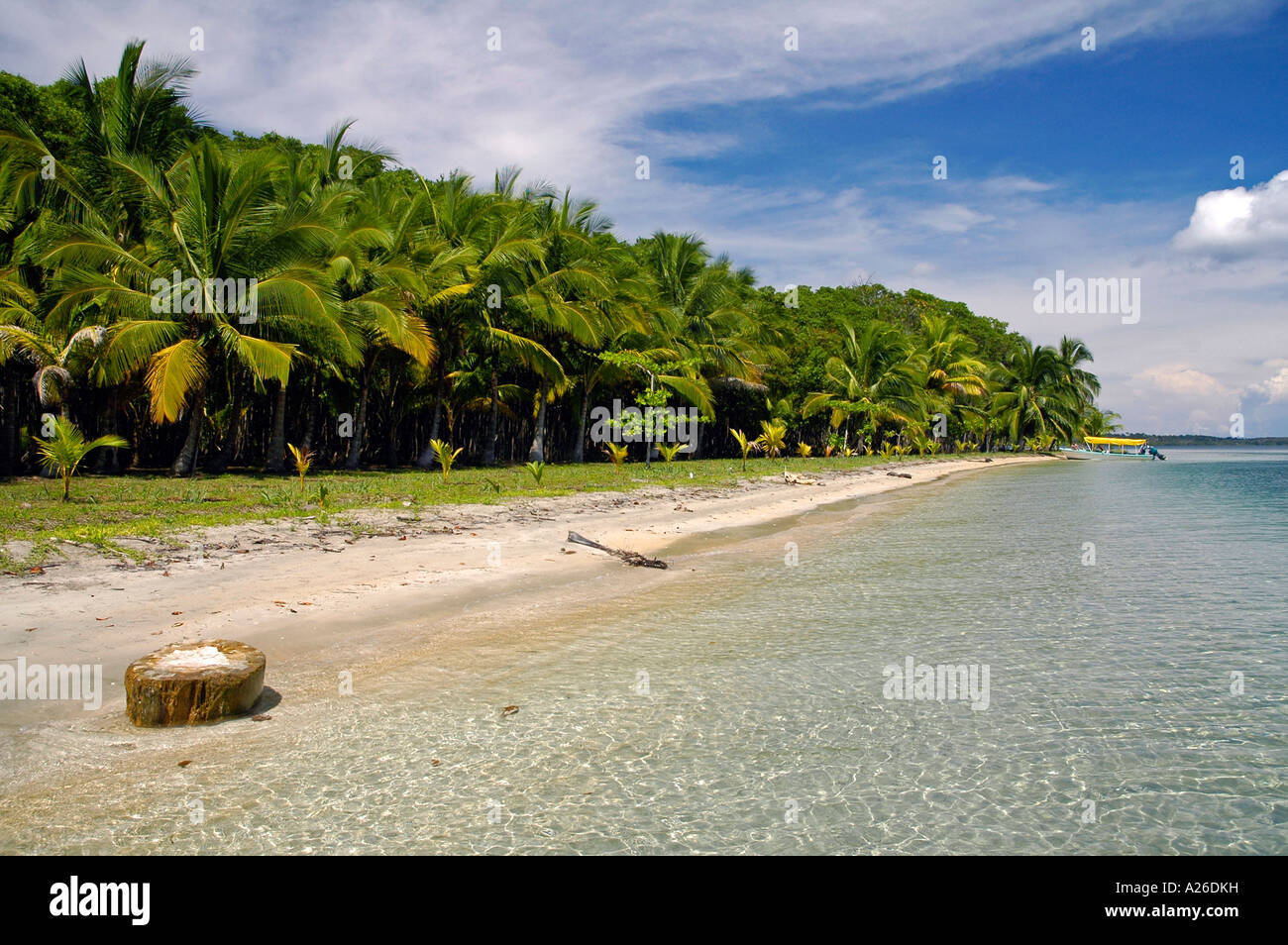 Gita in barca a Boca del Drago spiaggia, Playa de las Estrellas, Isla Colon, Bocas del Toro arcipelago, Panama, America Centrale Foto Stock